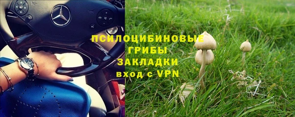 экстази Алексин