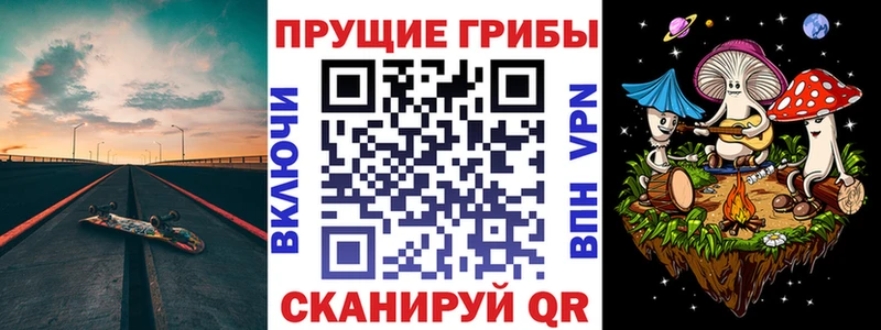 shop наркотические препараты Ардон Псилоцибиновые грибы ЛСД
